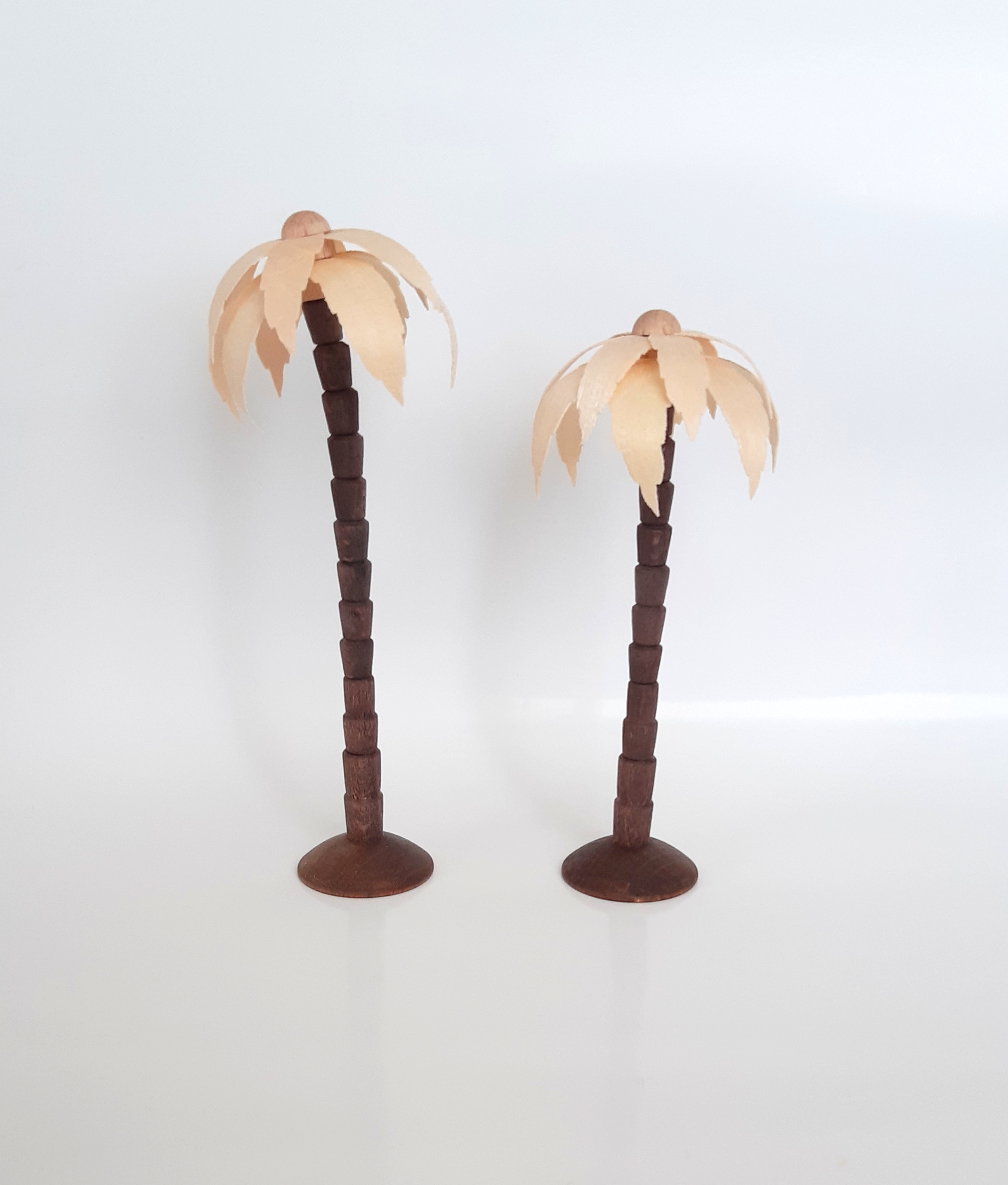 2-teiliges Palmenset - natur